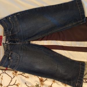 YMI Denim Capris